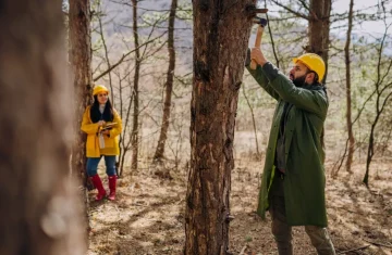 RFID Tree Tracking How It Works, Benefits, and Best Practices Forestry workers installing identification marker on pine tree in woodland, male worker hammering tree tag, female surveyor recording data, urban forest RFID tree tracking field operation.